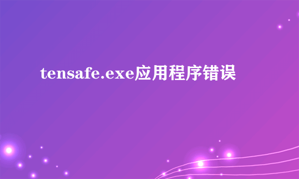 tensafe.exe应用程序错误