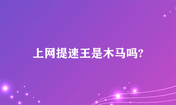 上网提速王是木马吗?