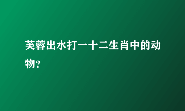 芙蓉出水打一十二生肖中的动物？