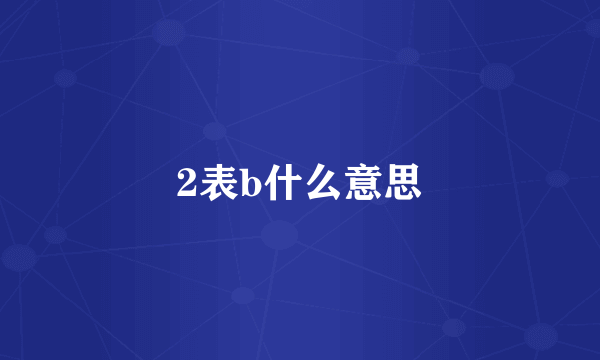 2表b什么意思