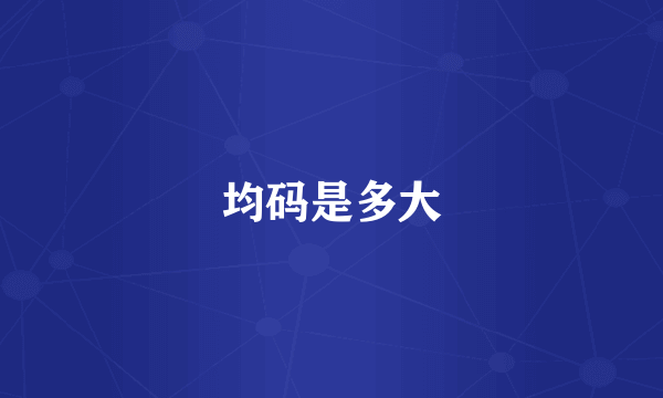均码是多大