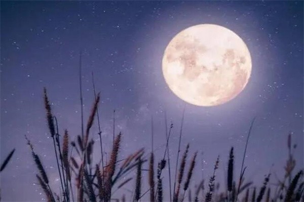 中秋夜是唐代诗人谁写的