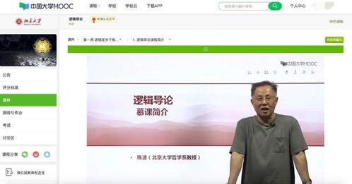 慕课什么意思