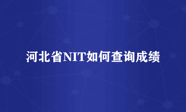 河北省NIT如何查询成绩