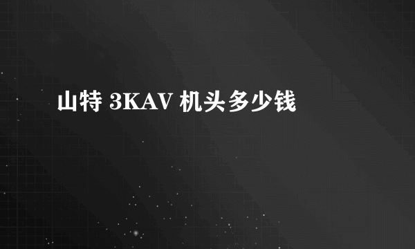 山特 3KAV 机头多少钱
