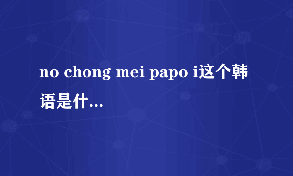 no chong mei papo i这个韩语是什么意思呀？