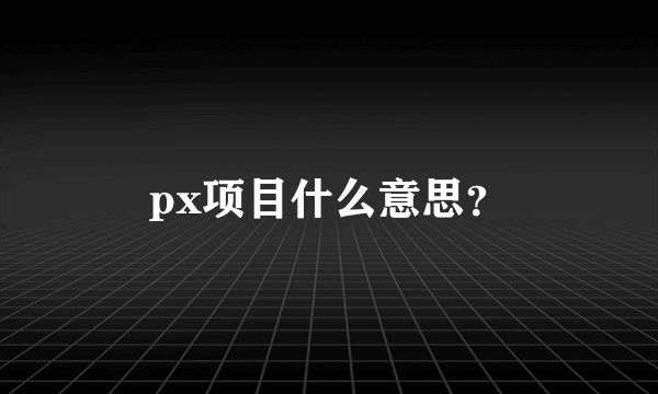 px项目什么意思？