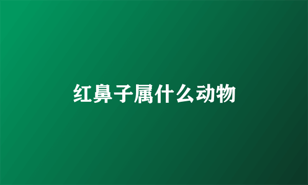 红鼻子属什么动物