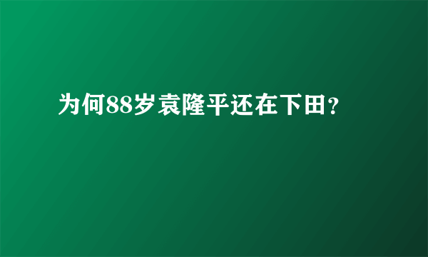 为何88岁袁隆平还在下田？