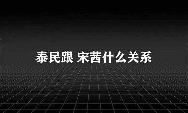 泰民跟 宋茜什么关系