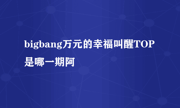 bigbang万元的幸福叫醒TOP是哪一期阿