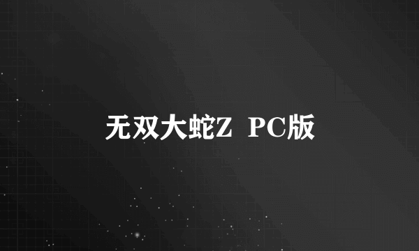 无双大蛇Z  PC版