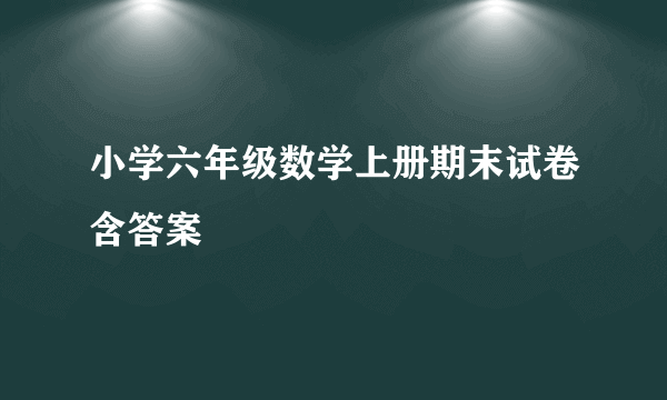 小学六年级数学上册期末试卷含答案
