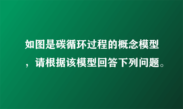 如图是碳循环过程的概念模型，请根据该模型回答下列问题。