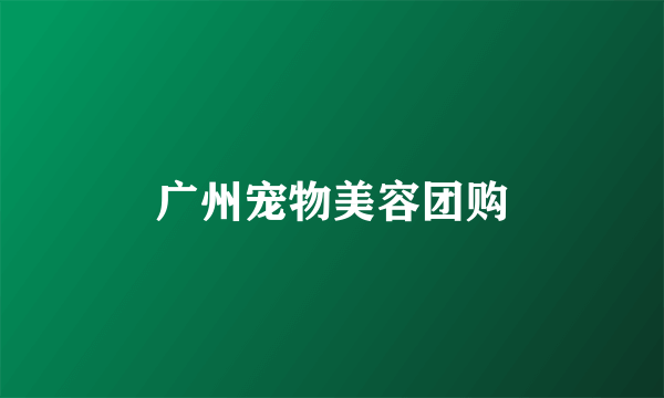 广州宠物美容团购