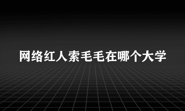 网络红人索毛毛在哪个大学