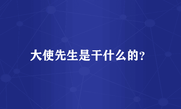 大使先生是干什么的？