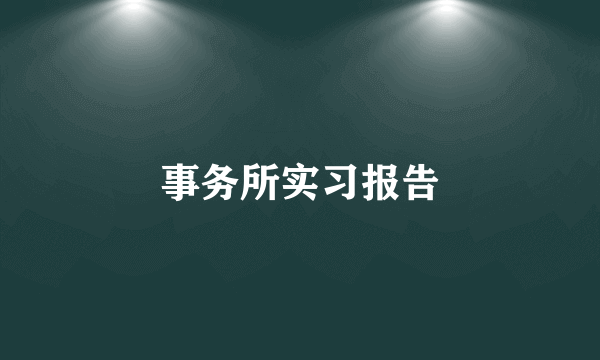 事务所实习报告