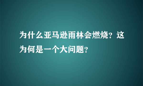 为什么亚马逊雨林会燃烧？这为何是一个大问题？