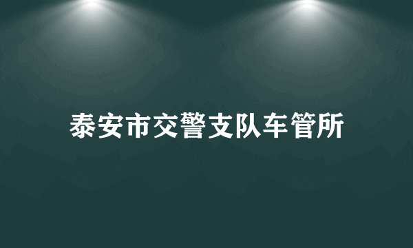 泰安市交警支队车管所
