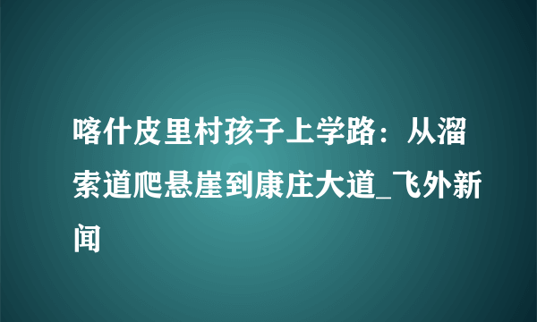 喀什皮里村孩子上学路：从溜索道爬悬崖到康庄大道_飞外新闻