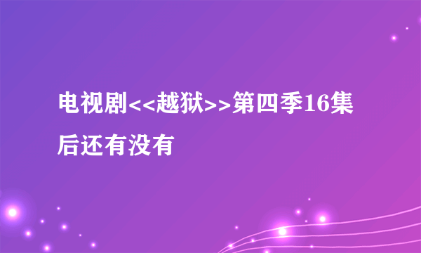 电视剧<<越狱>>第四季16集后还有没有