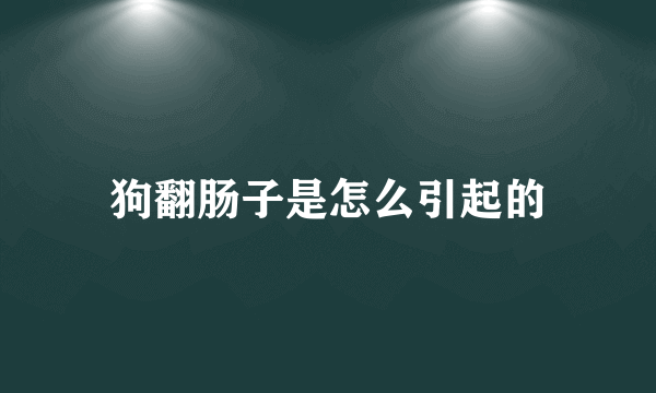 狗翻肠子是怎么引起的