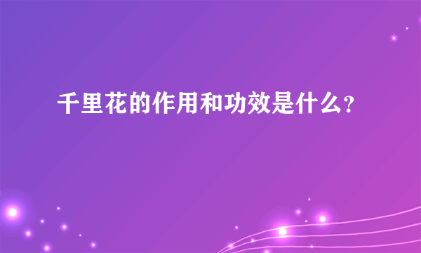 千里花的作用和功效是什么？