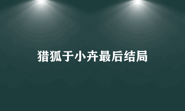 猎狐于小卉最后结局