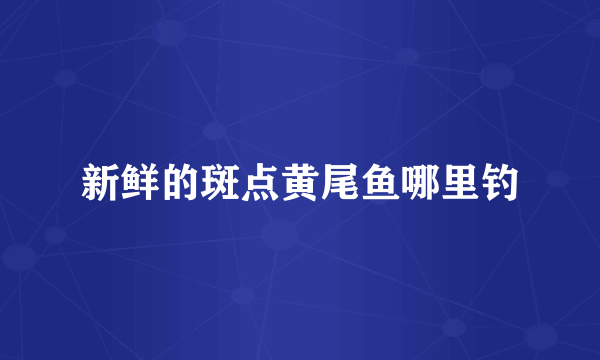 新鲜的斑点黄尾鱼哪里钓
