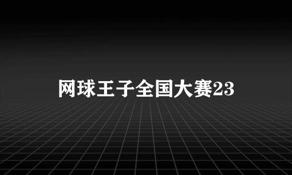 网球王子全国大赛23