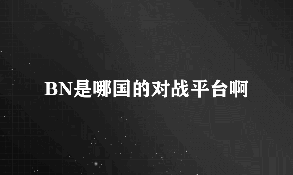 BN是哪国的对战平台啊