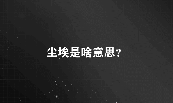 尘埃是啥意思？