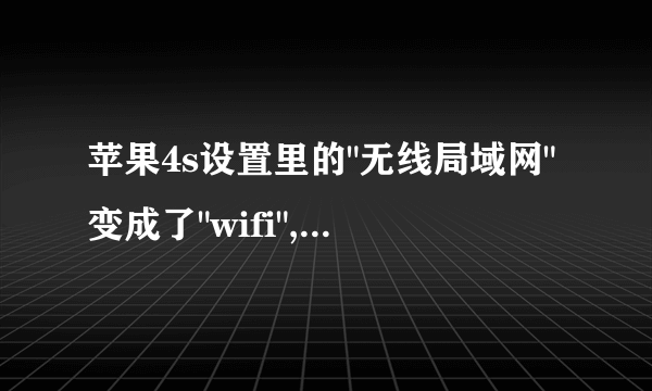 苹果4s设置里的