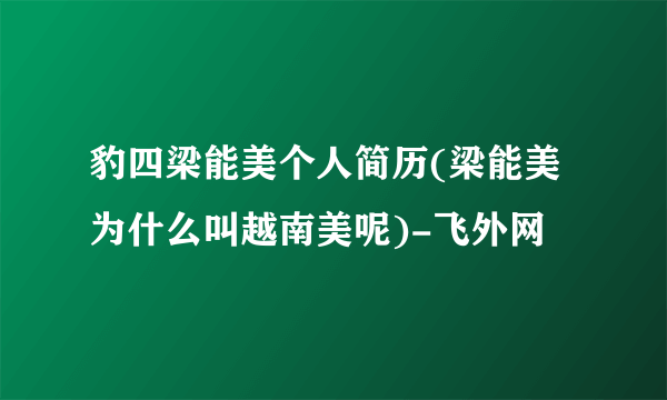 豹四梁能美个人简历(梁能美为什么叫越南美呢)-飞外网