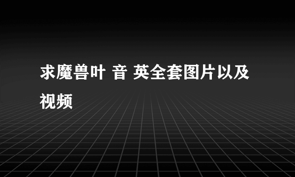 求魔兽叶 音 英全套图片以及视频