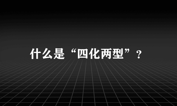 什么是“四化两型”？