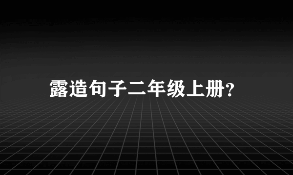 露造句子二年级上册？