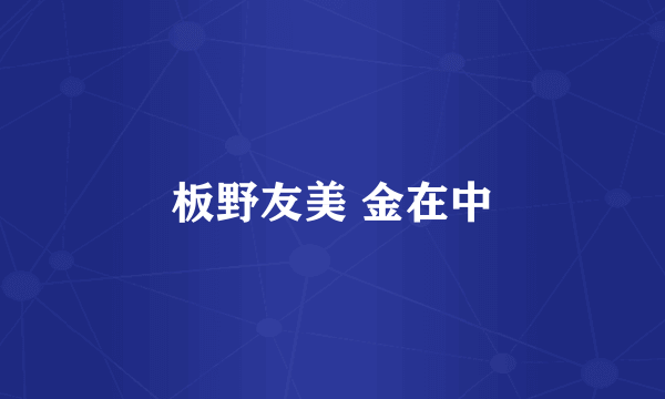 板野友美 金在中