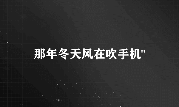 那年冬天风在吹手机