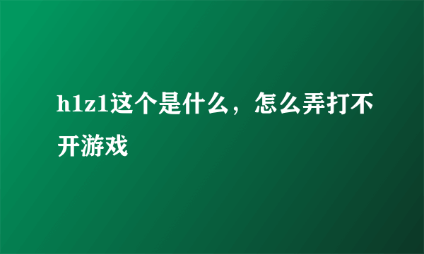 h1z1这个是什么，怎么弄打不开游戏