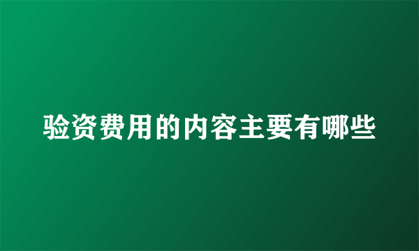 验资费用的内容主要有哪些