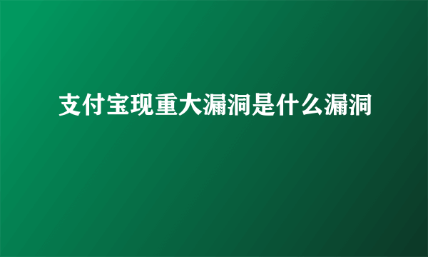 支付宝现重大漏洞是什么漏洞