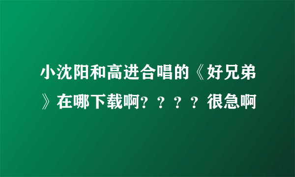 小沈阳和高进合唱的《好兄弟》在哪下载啊？？？？很急啊