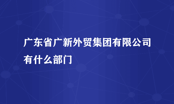 广东省广新外贸集团有限公司有什么部门