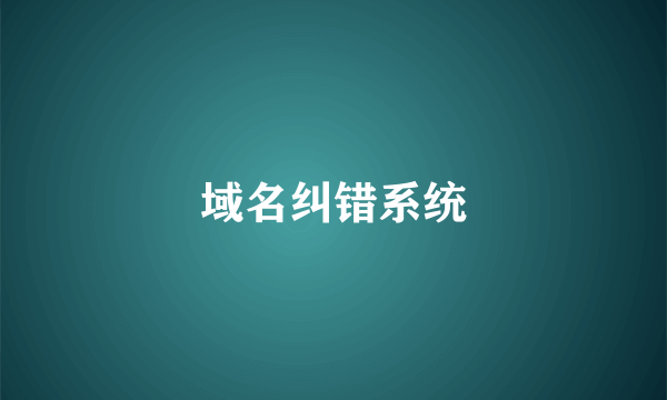 域名纠错系统