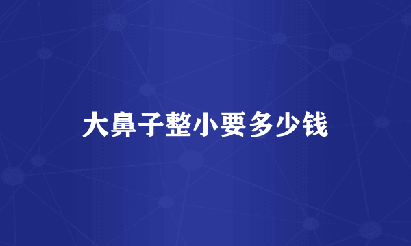 大鼻子整小要多少钱