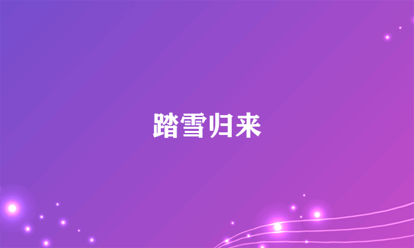 踏雪归来