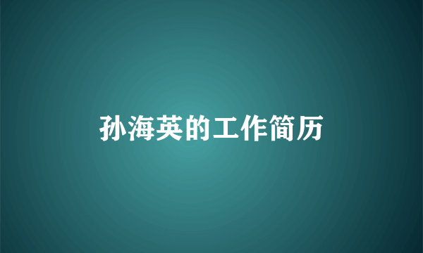 孙海英的工作简历