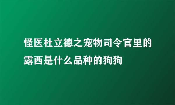 怪医杜立德之宠物司令官里的露西是什么品种的狗狗
